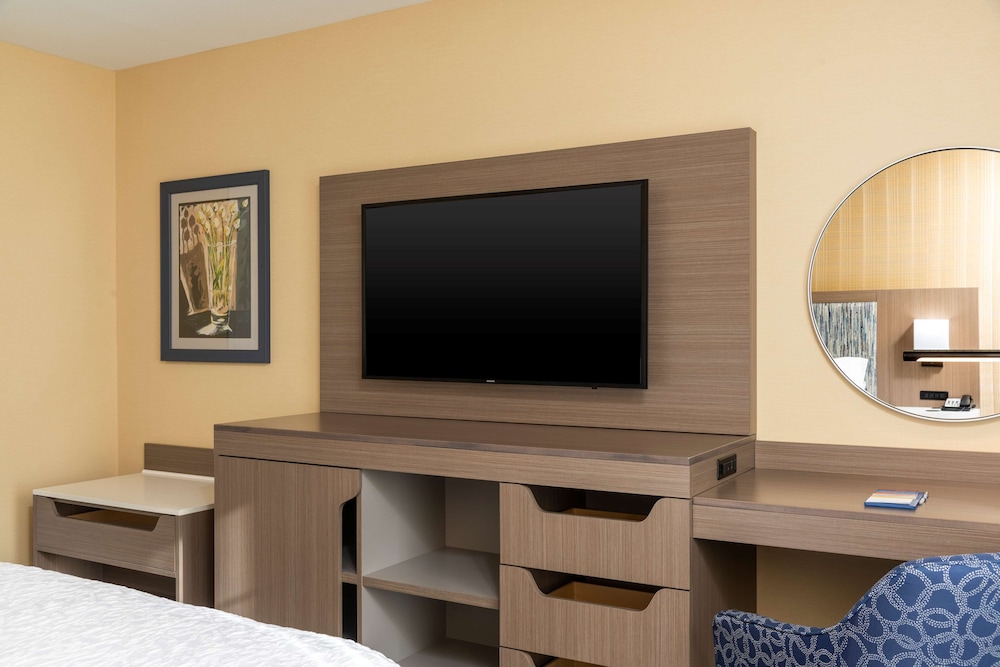 Suite, 1 King Bed, Non Smoking photo 3