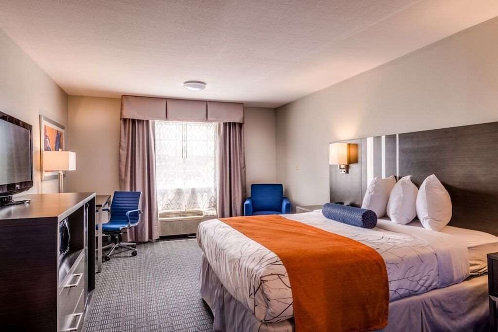 Premium Room, 1 King Bed - Photo 8