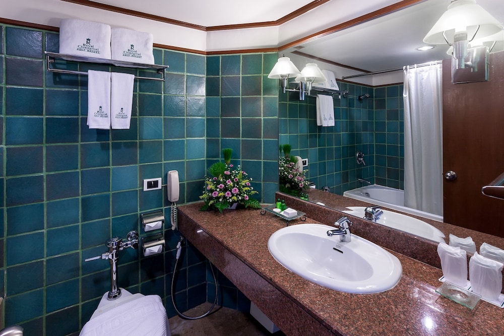 Deluxe Twin Room photo 3