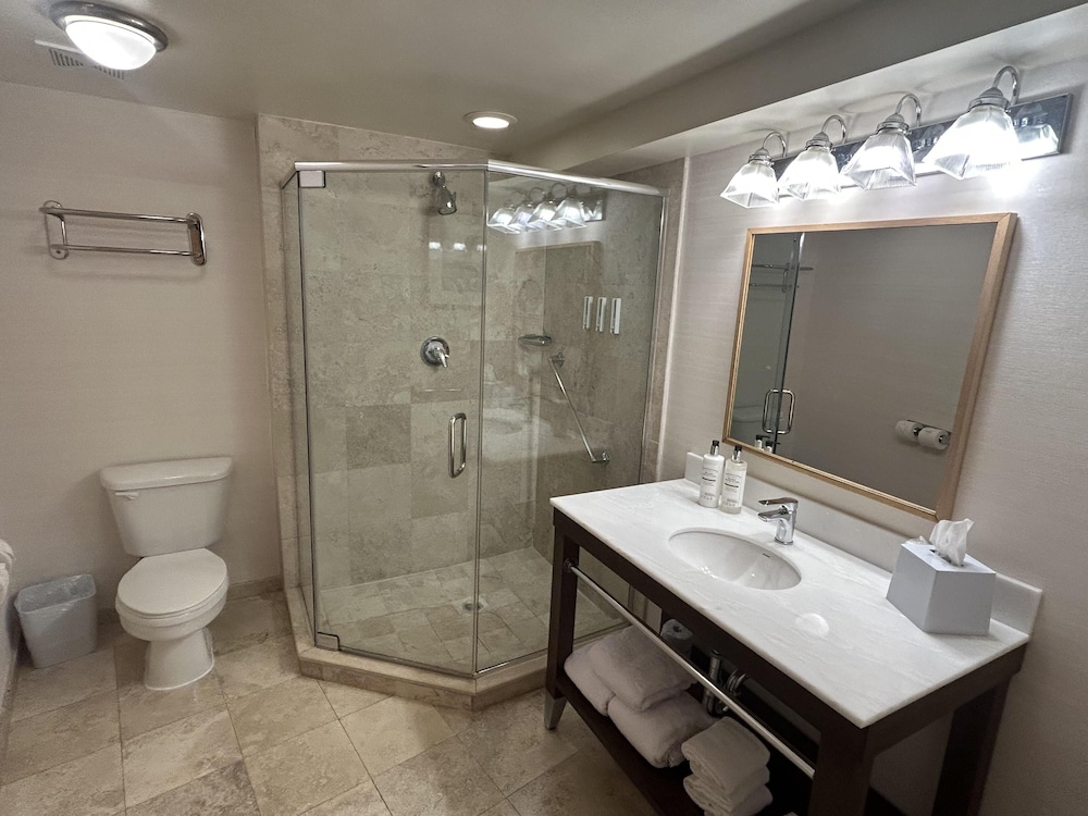 Standard Room, 1 King Bed, Non Smoking (Shower Only) - Photo 3