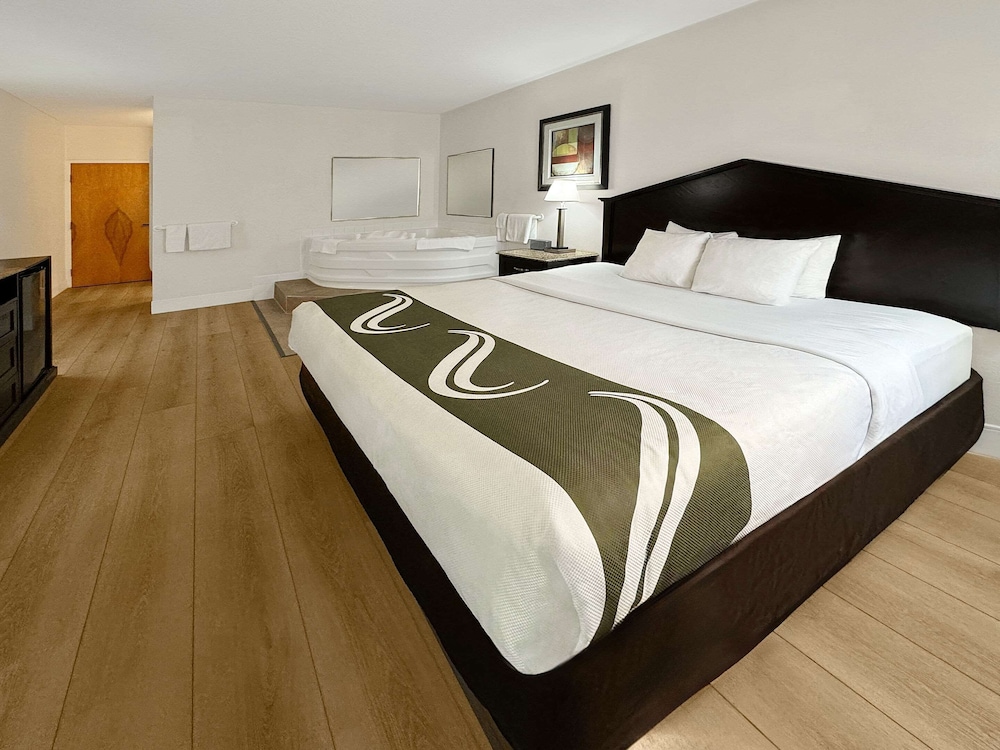 Room, 1 King Bed With Sofa Bed, Non Smoking photo 2