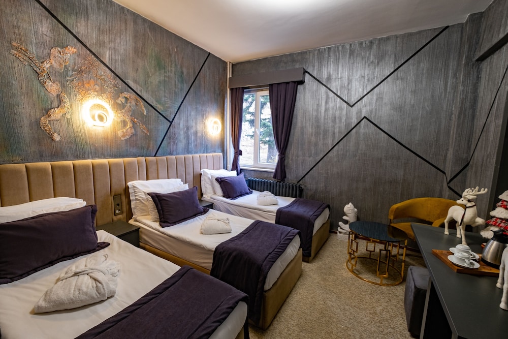 Standard Room, Mountain View