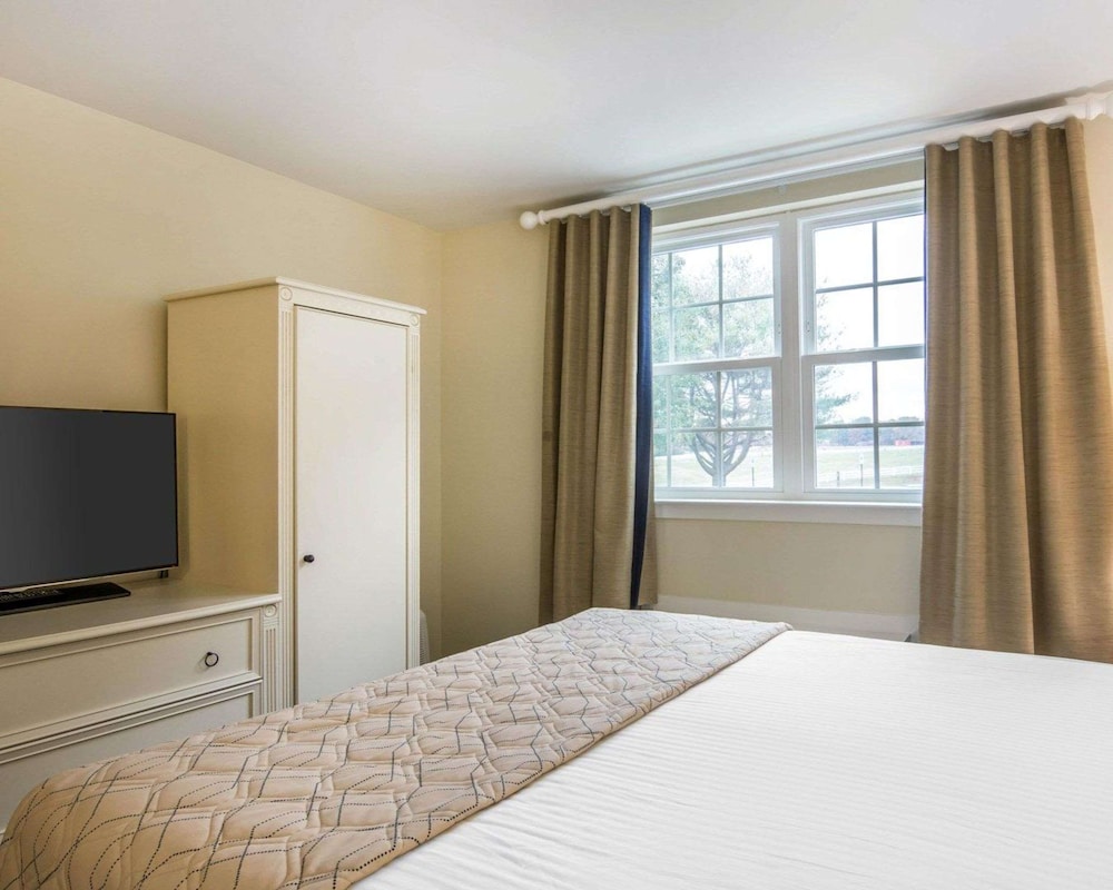 Standard Room, 1 Queen Bed photo 1