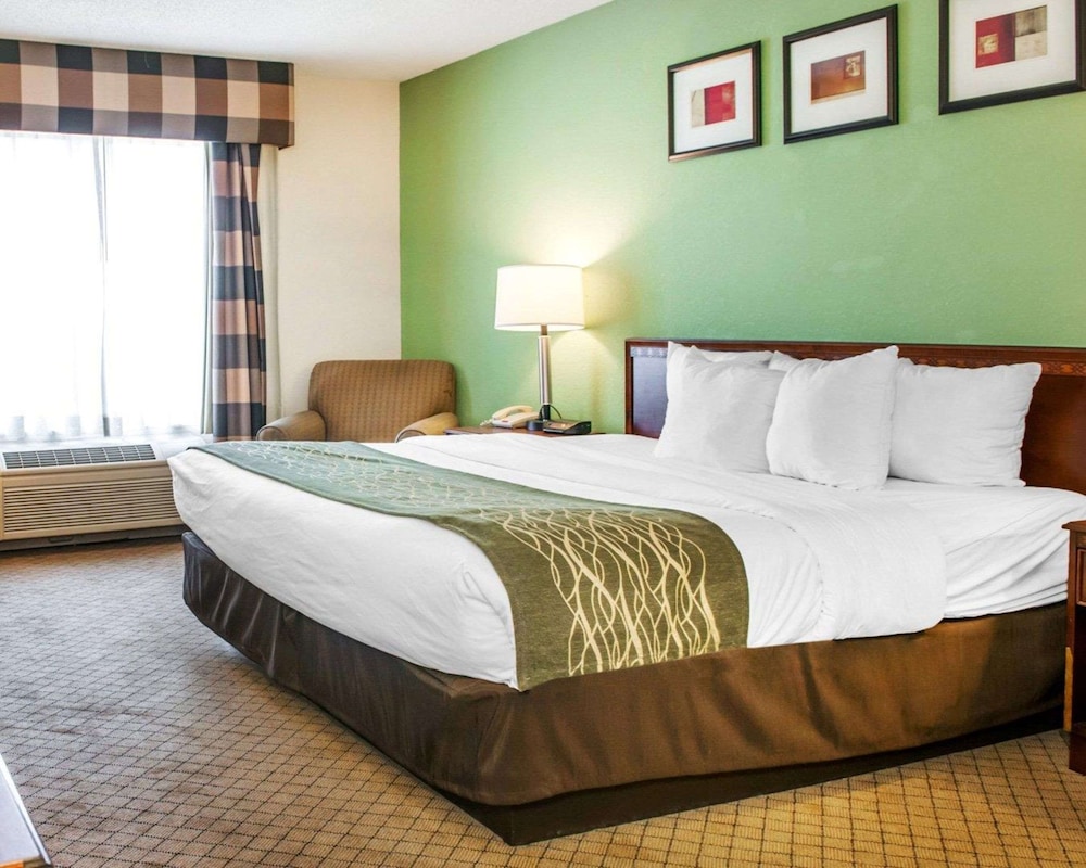 Standard Room, 1 King Bed, Accessible, Non Smoking (Accessible Tub) photo 1