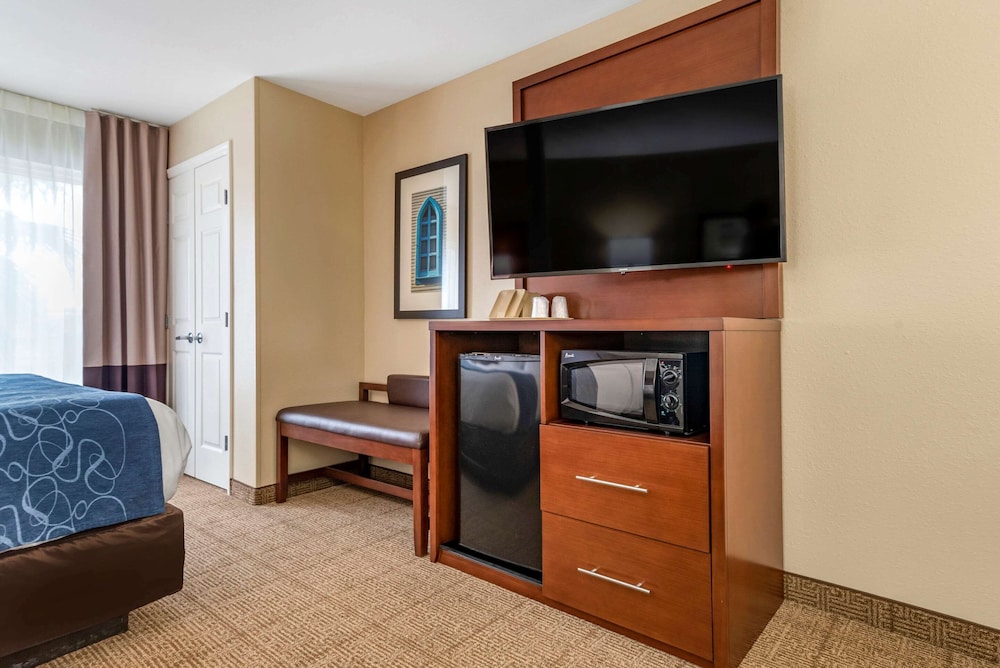 Suite, 1 King Bed, Non Smoking - Photo 3