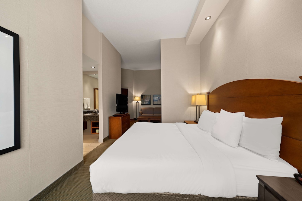 Suite, 1 King Bed, Non Smoking, Kitchenette (Shower Only;with Sofabed)