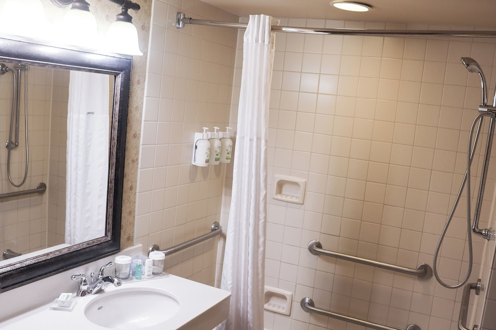 Room, 1 King Bed, Accessible, Non Smoking (Bathtub with Grab Bars) - Photo 2