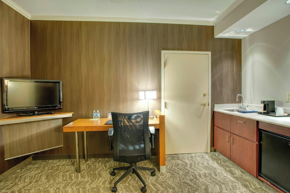 Suite, 1 King Bed - Photo 9