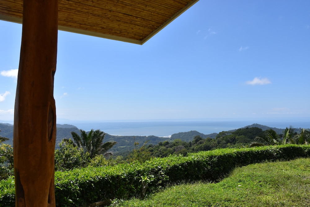 Basic Bungalow, 1 Bedroom, Ocean View photo 3