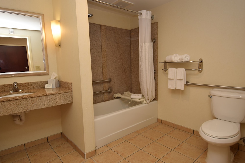 Suite, 1 King Bed with Sofa bed, Accessible, Non Smoking