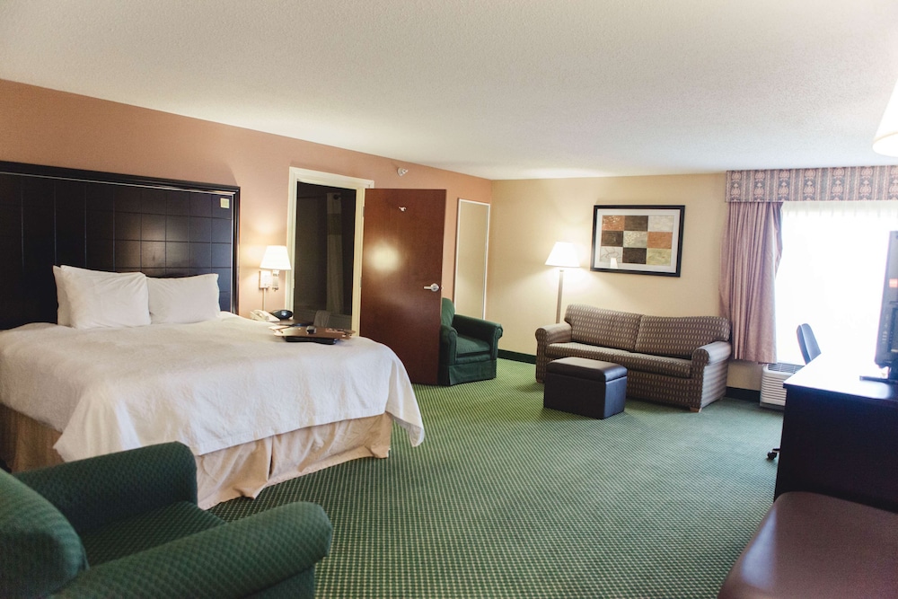 Suite, 1 King Bed, Non Smoking - Photo 1