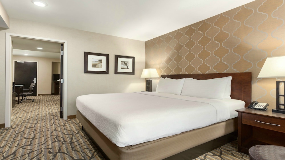 Suite, 1 Bedroom - Photo 3