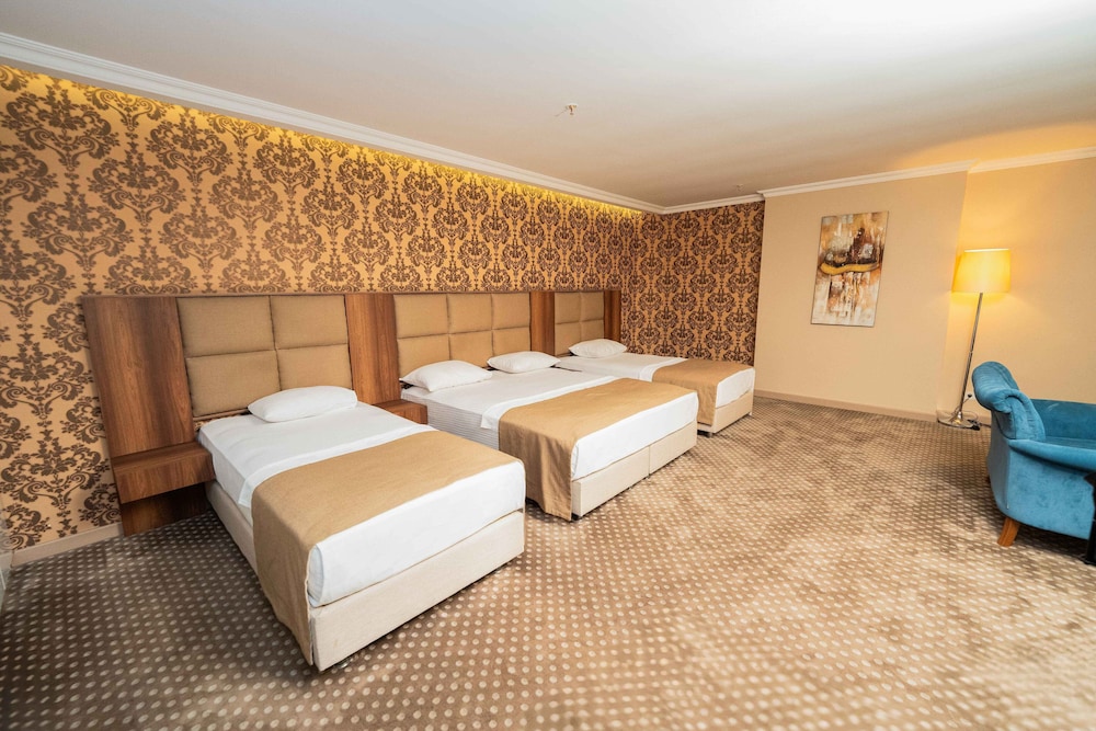 Executive Room photo 1