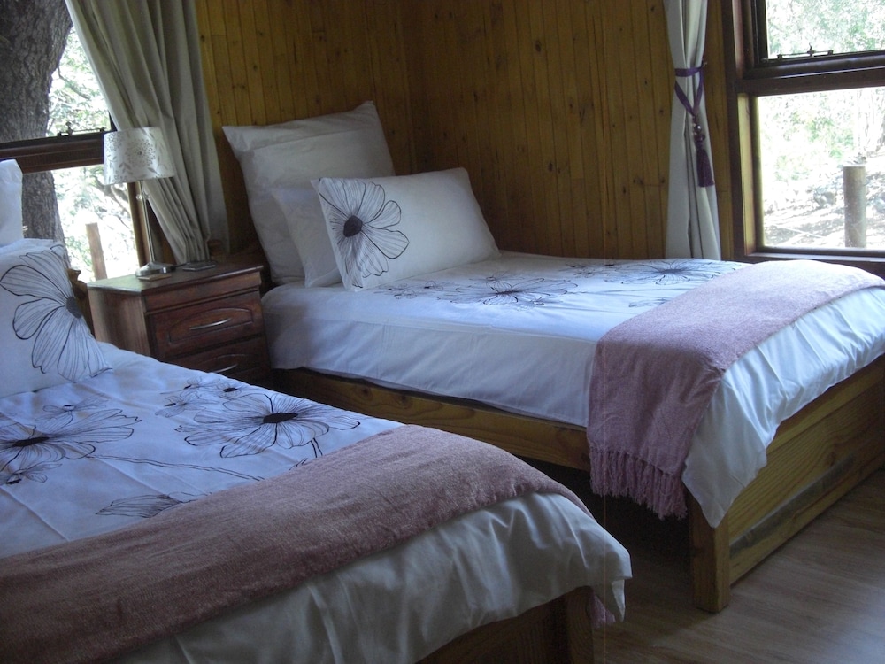 Log Cabin photo 2
