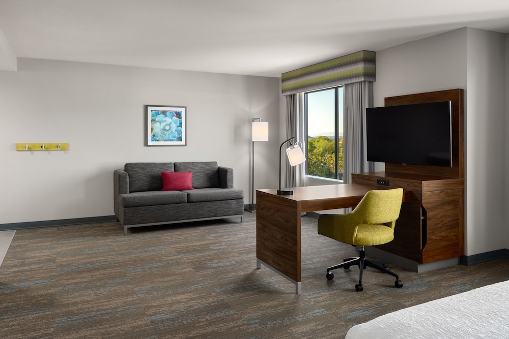 Suite, 1 King Bed, Accessible (Roll-In Shower) - Photo 4
