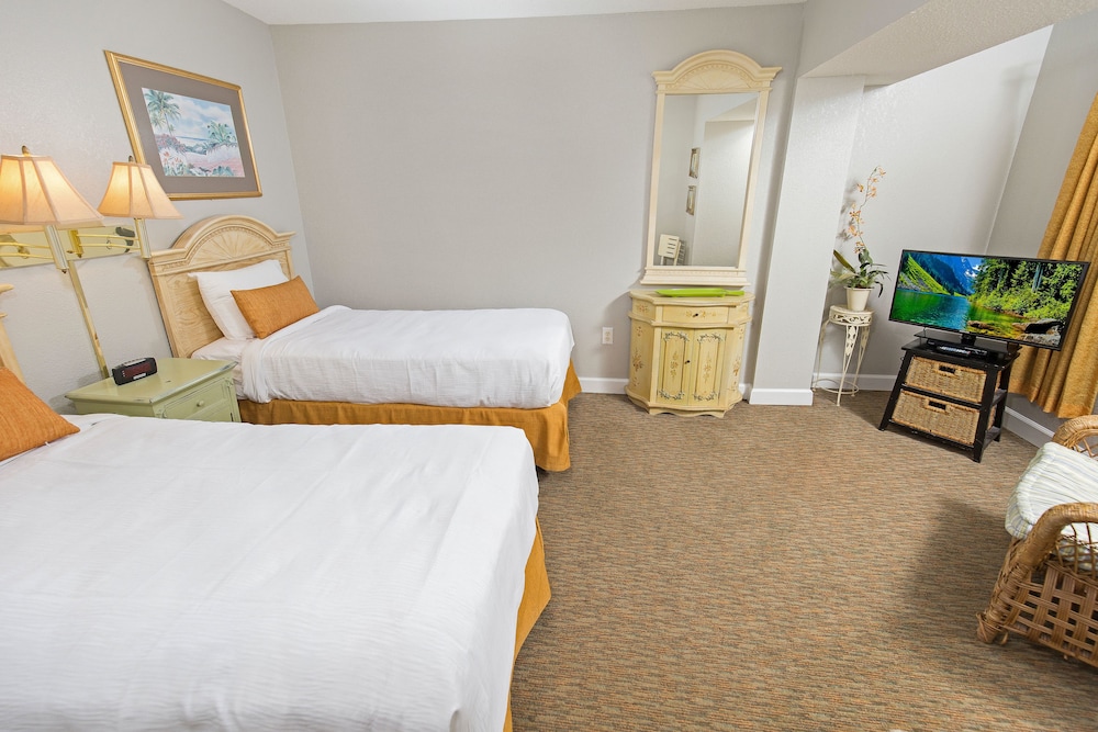 South Oceanfront 2 Bedroom King photo 3