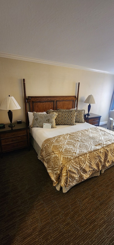 Basic Single Room, Accessible