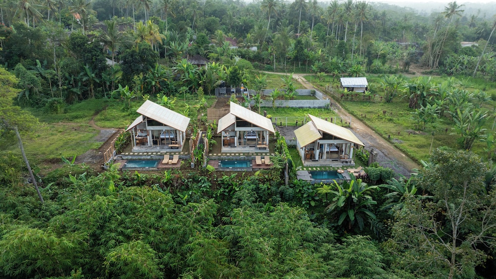 Deluxe Villa photo 2