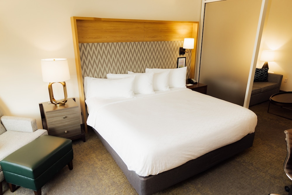 Suite, 1 King Bed with Sofa bed, Accessible Bathtub (Accessible Tub) - Photo 1