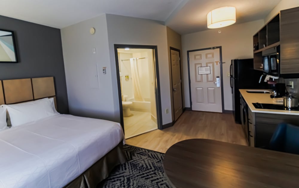 Studio Suite, 1 Queen Bed - Photo 2