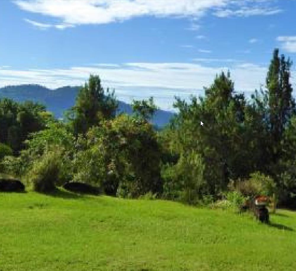 Tierra photo 2