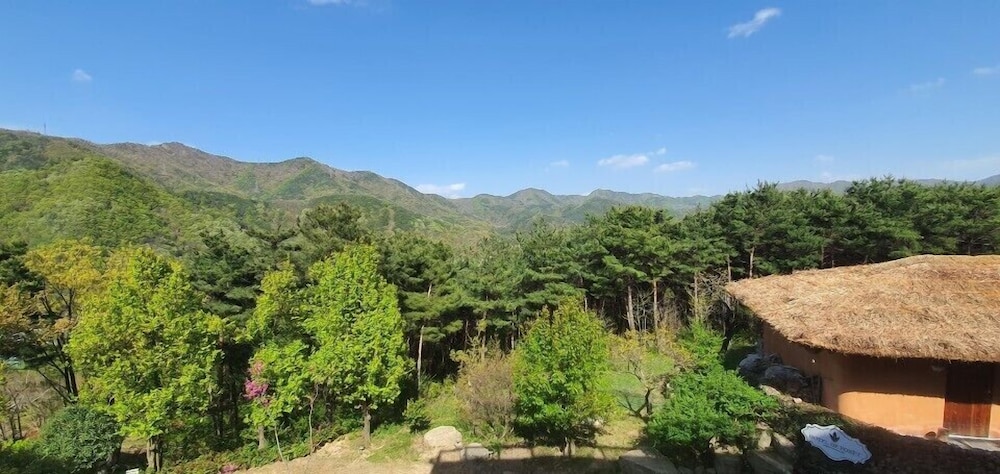 Standard Room (Ondol, Free Nature Park) - Photo 2