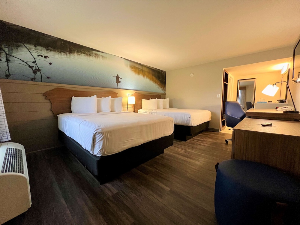 Standard Room, 2 Queen Beds, Non Smoking (Walk-in Shower;Theme Room)