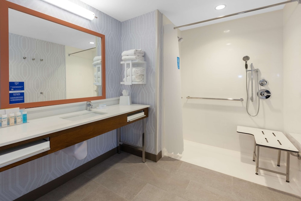 Suite, 1 King Bed, Accessible (Roll-In Shower) photo 3
