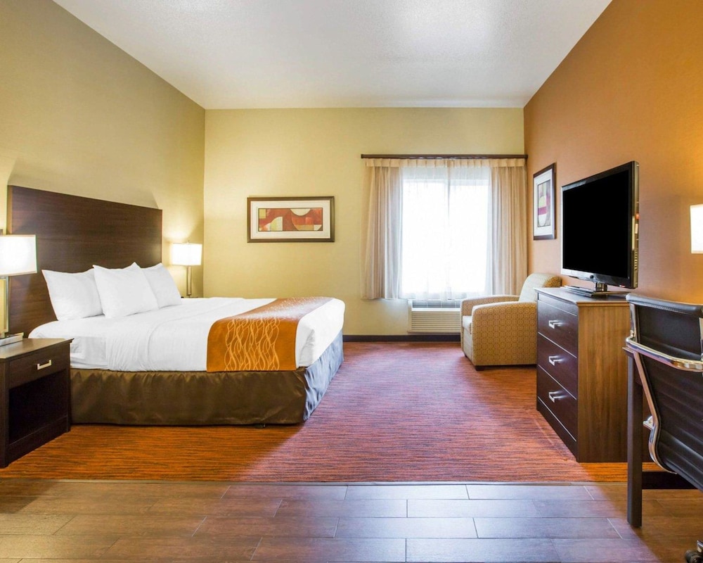 Standard Room, 1 King Bed with Sofa bed, Accessible, Non Smoking photo 2