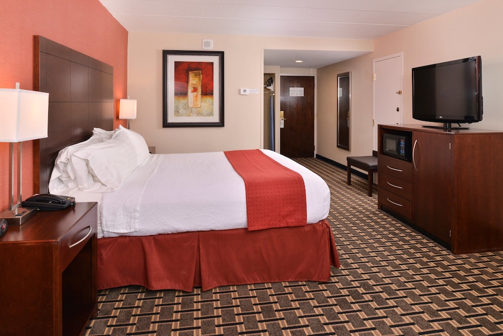 Suite, 1 King Bed - Photo 4