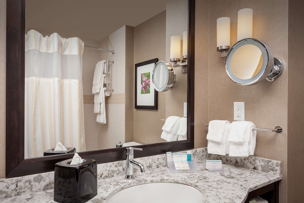 Room, 1 King Bed, Accessible (Luxury Bathroom - 3x3 Shower), photo 6