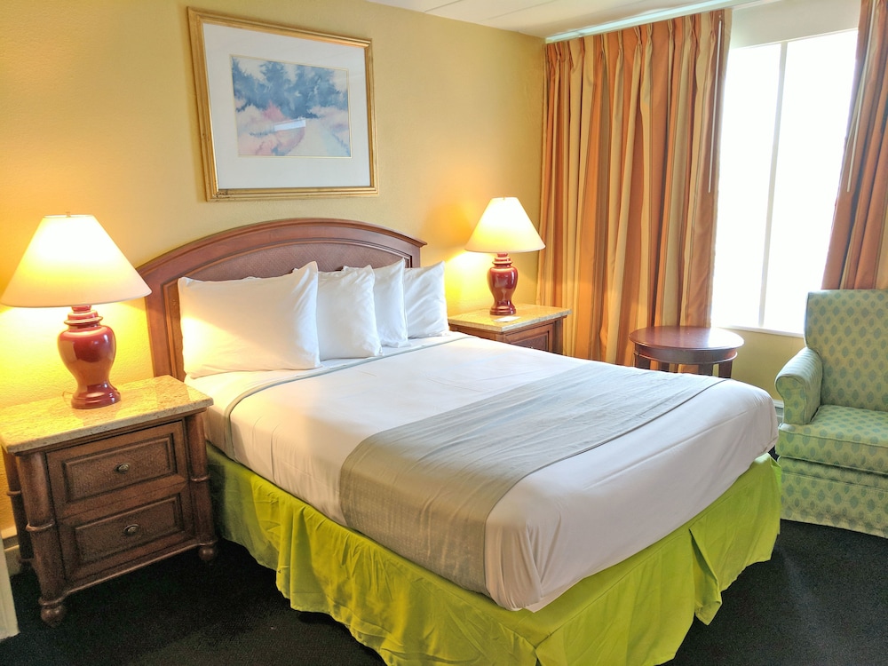Deluxe Room, 1 Queen Bed, Refrigerator & Microwave photo 3