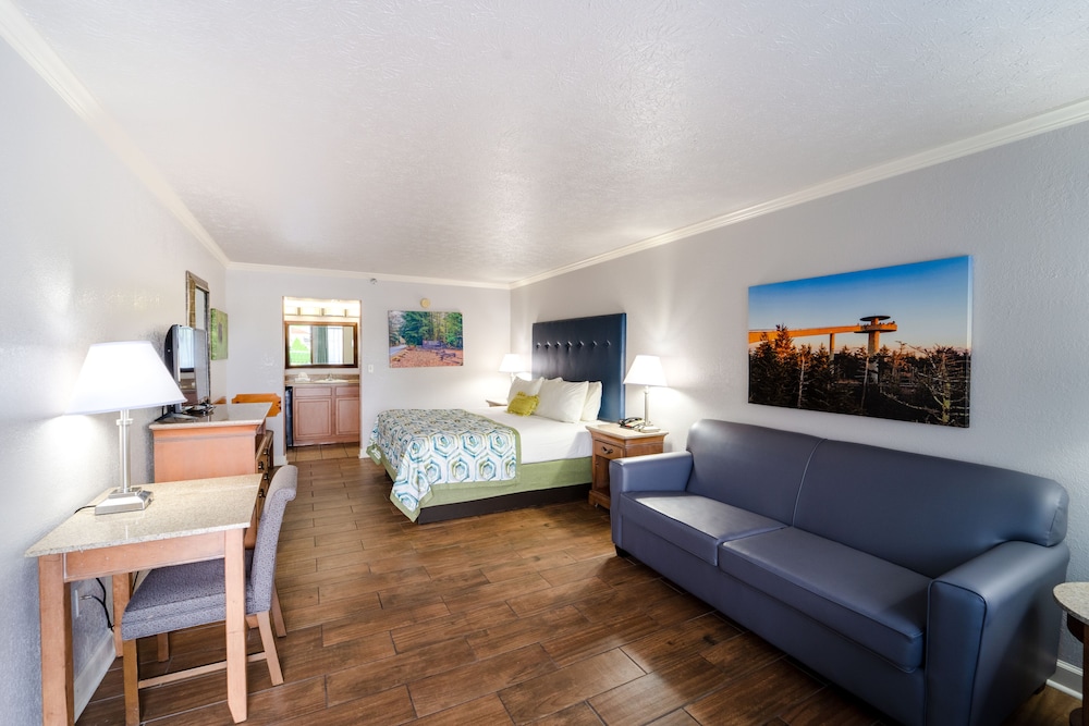 Deluxe Room photo 3