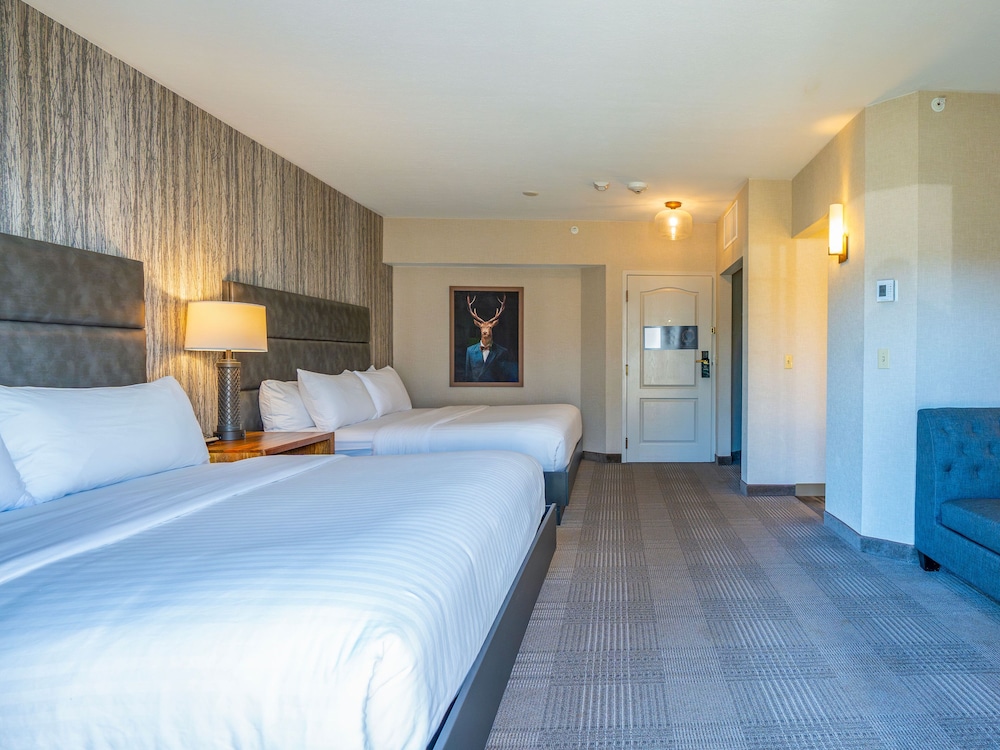 Standard Room, Multiple Beds, Accessible Bathtub - Photo 1