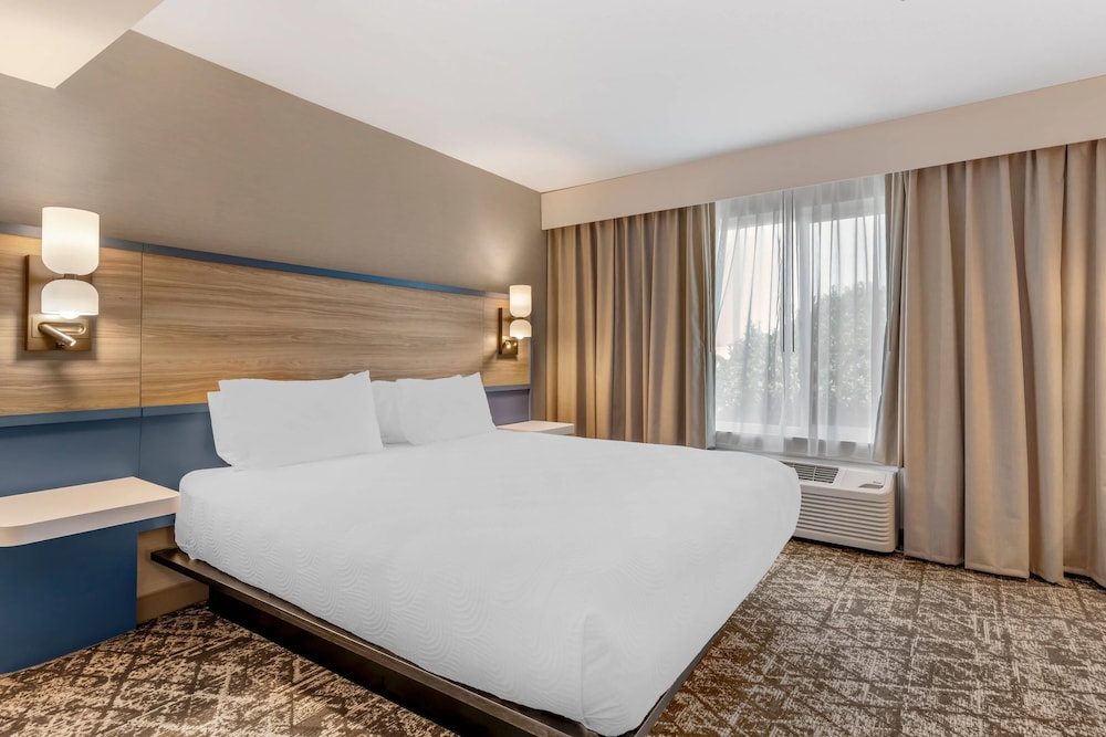 Suite, 1 King Bed with Sofa bed, Non Smoking