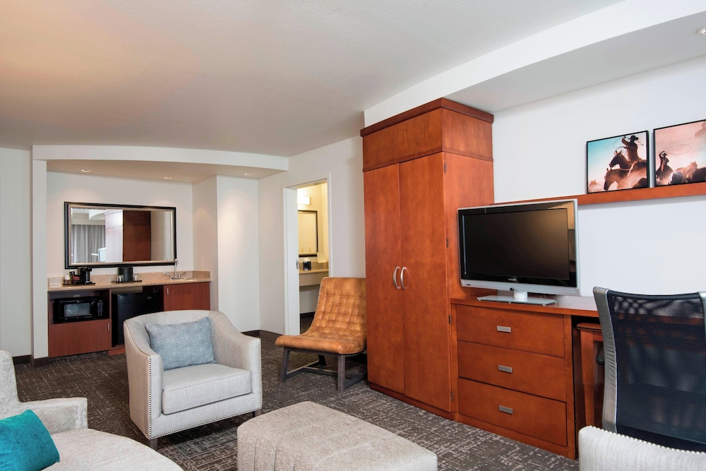Suite, 1 King Bed with Sofa bed