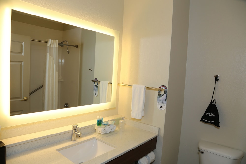 Standard Room, 1 King Bed, Accessible, Non Smoking (Communications) - Photo 4
