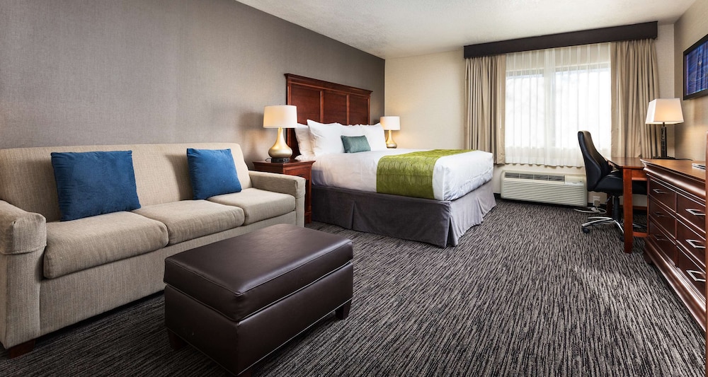 Standard Room, 1 King Bed, Microwave (with Sofabed) - Photo 2