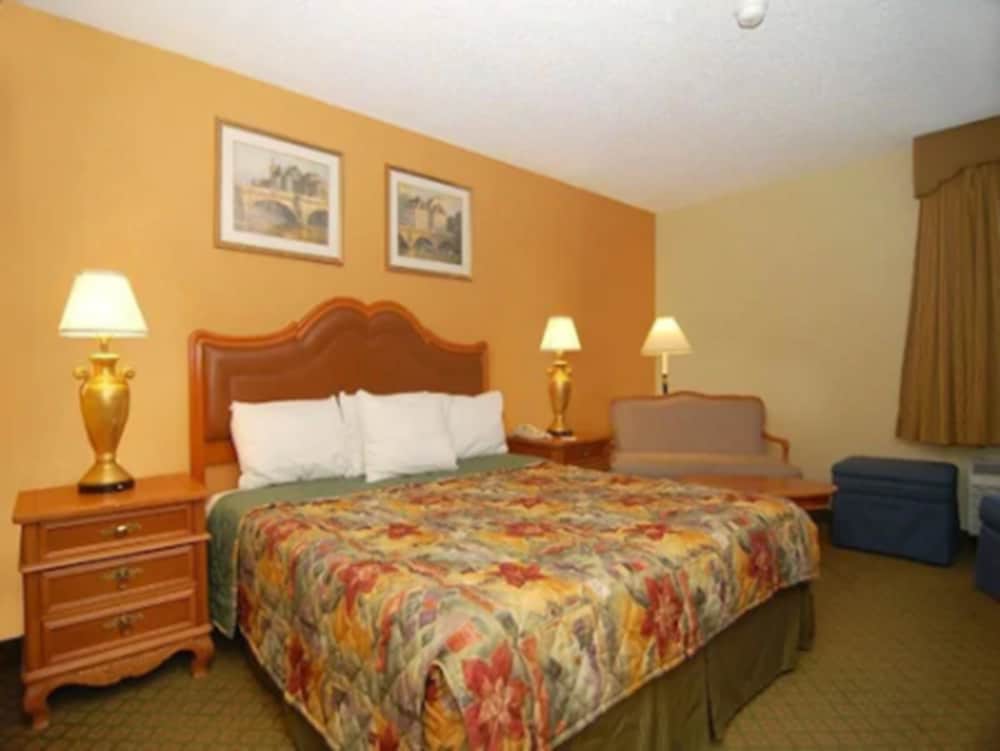 Basic Single Room photo 1