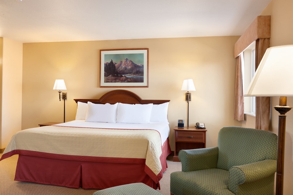 Room, 1 King Bed, Non Smoking, Pets Allowed