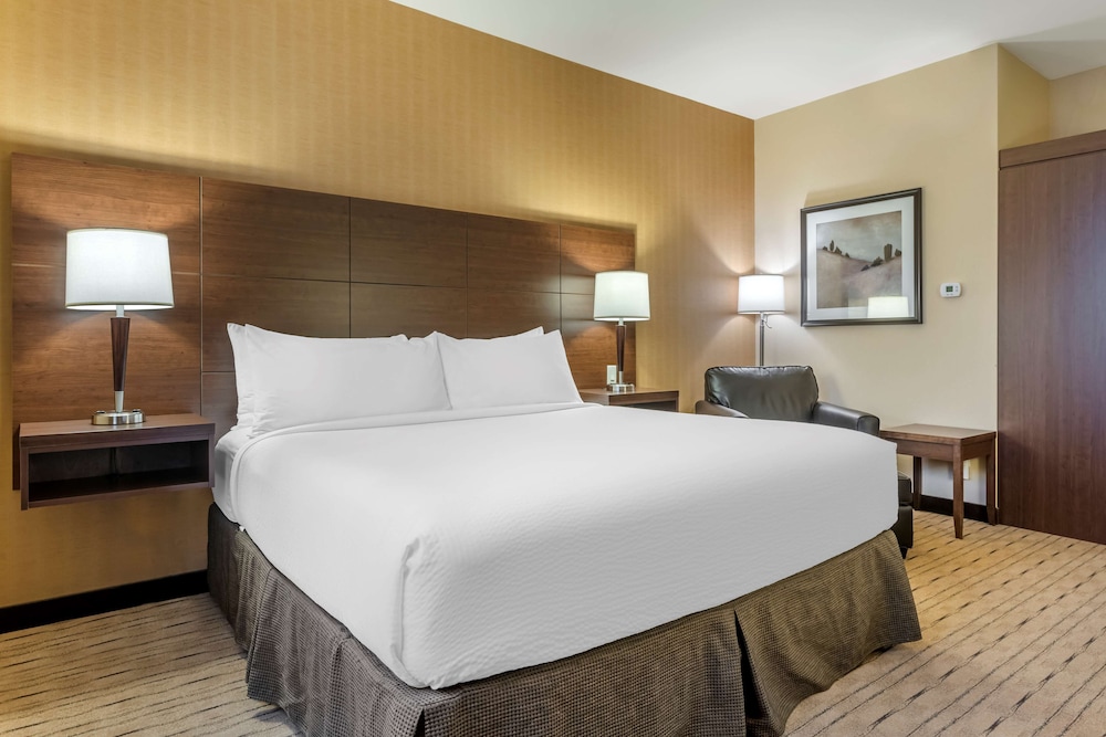 Suite, 1 King Bed With Sofa Bed, Non Smoking, Refrigerator & Microwave (With Sofabed)
