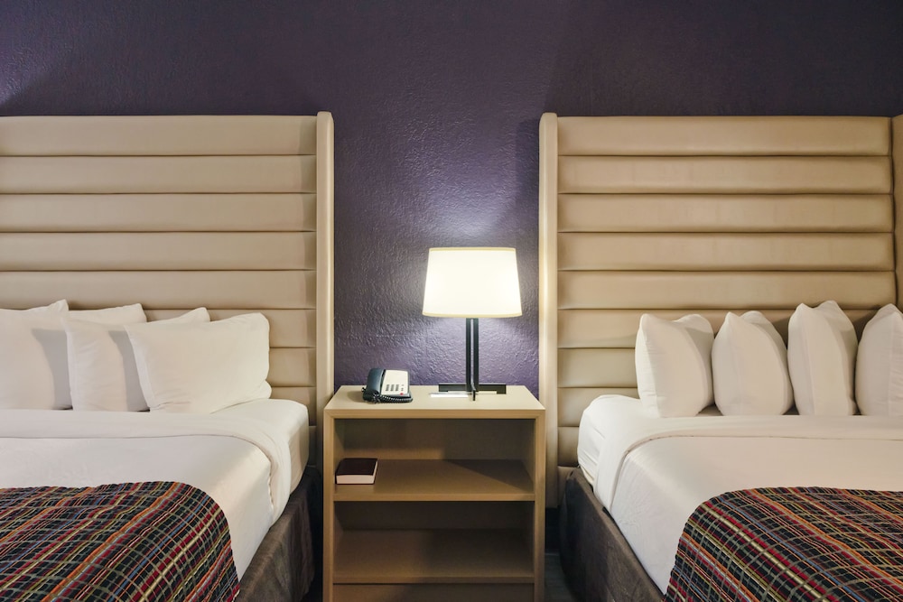 Studio Suite, 2 Queen Beds