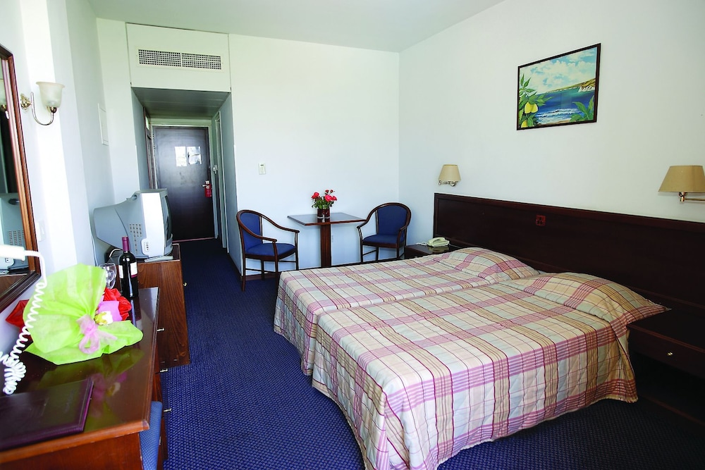 Double or Twin Room, Mountain View photo 2