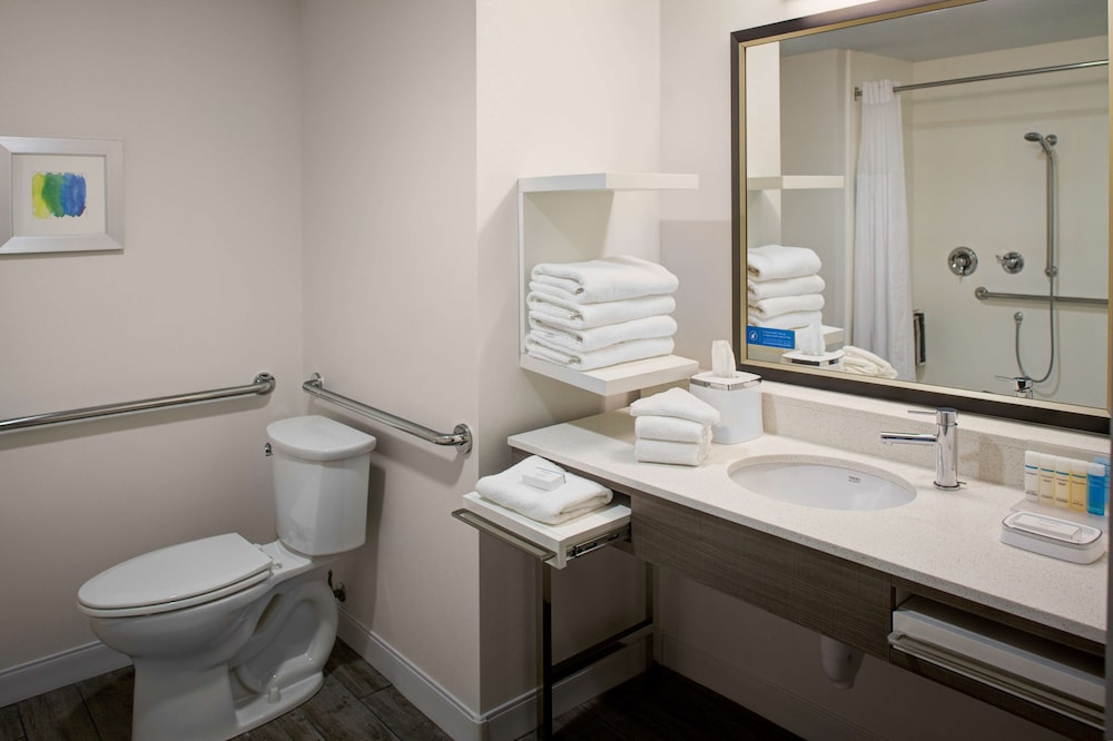 Studio, 1 King Bed, Accessible, Non Smoking (Roll-in Shower) - Photo 7