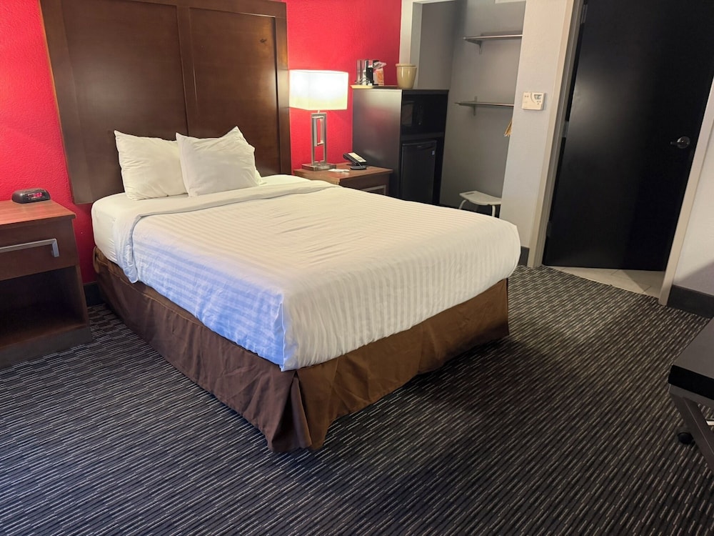 Room, 1 Queen Bed