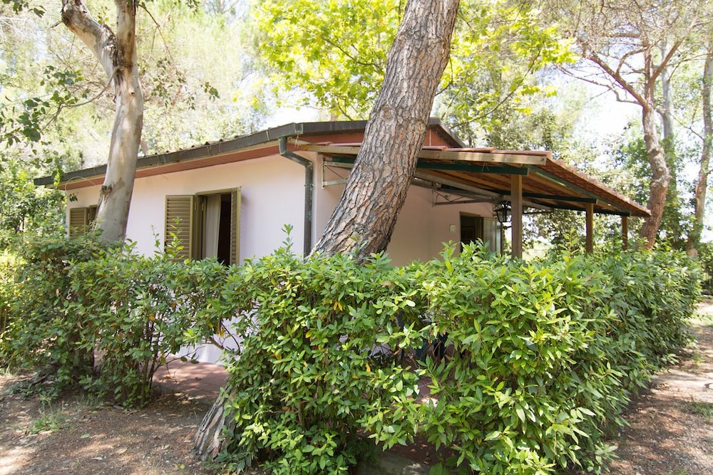 Deluxe Mobile Home photo 3