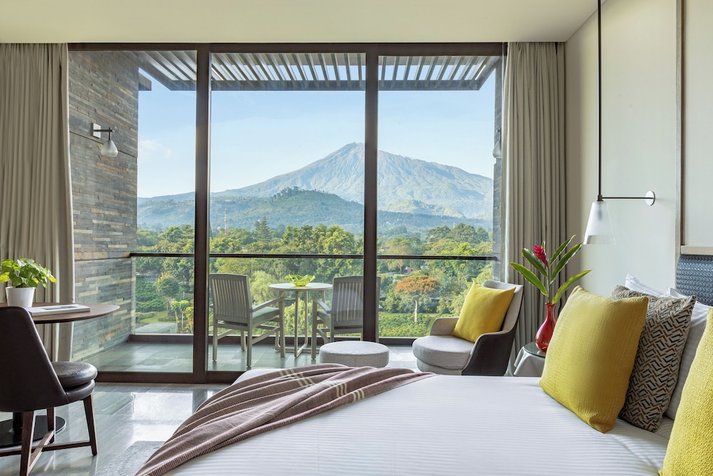 Junior Suite (Red Level) - Photo 3