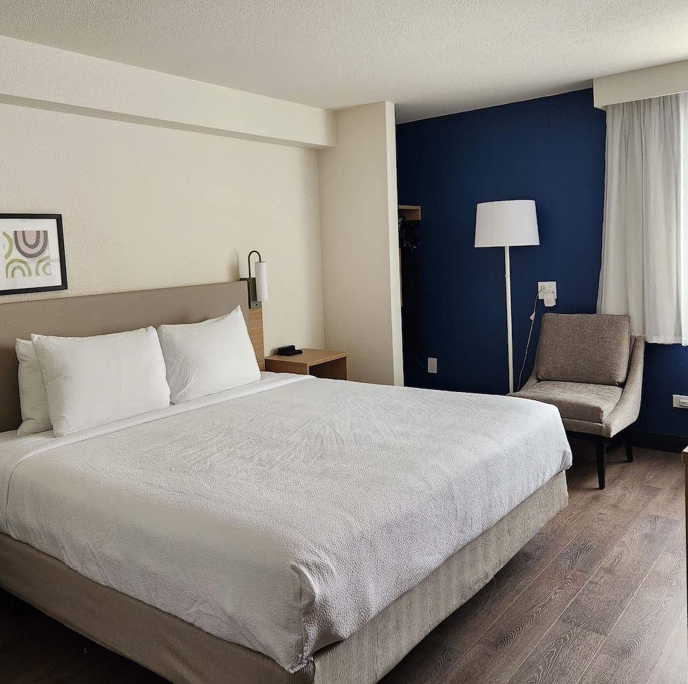 Room, 1 King Bed, Roll-in Shower - Photo 2