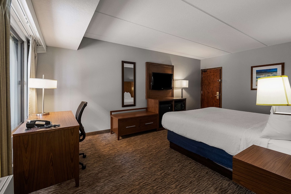 Standard Room, 1 King Bed, Accessible, Refrigerator & Microwave photo 3
