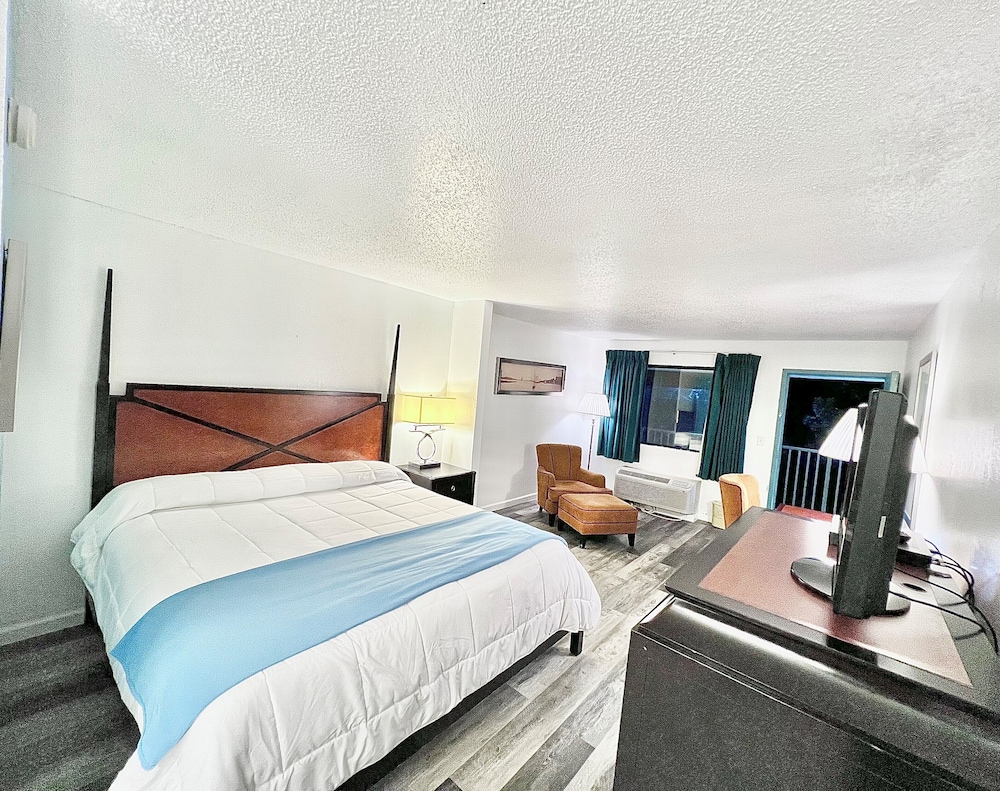 Basic Single Room, 1 King Bed photo 3